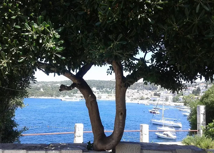 Διαμέρισμα Radosic